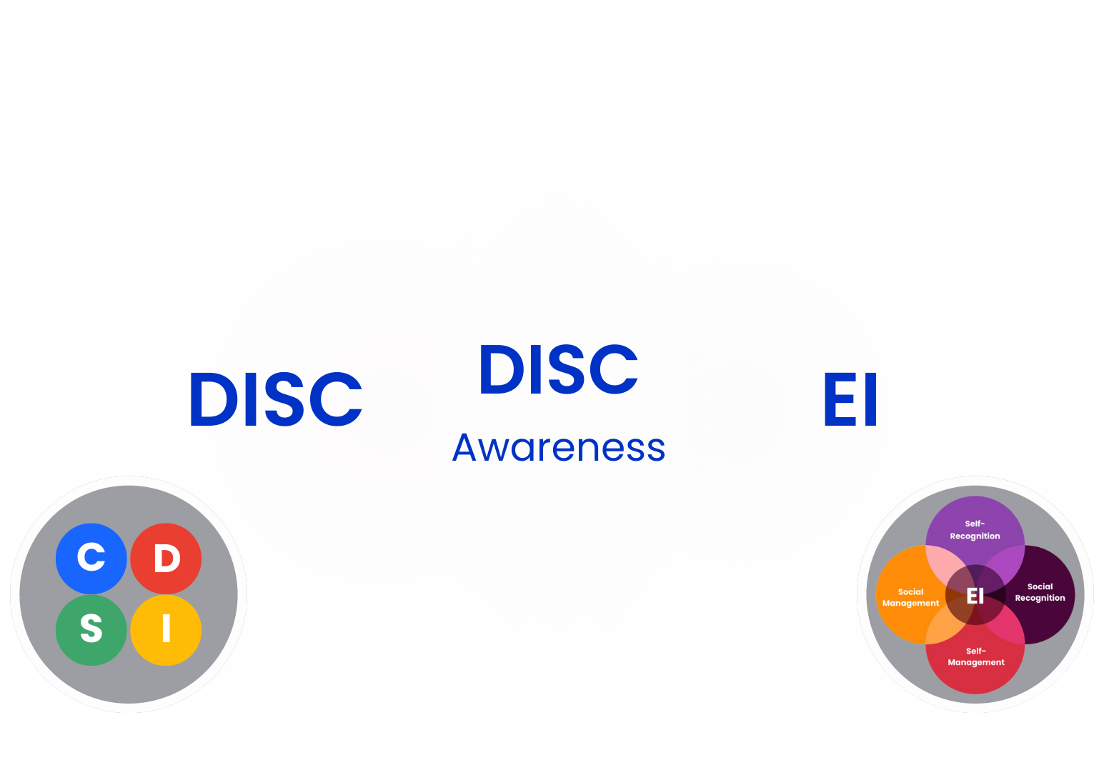 disc and ei graphic