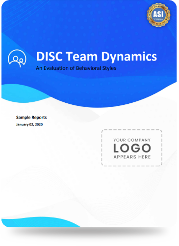 disc team dynamics report